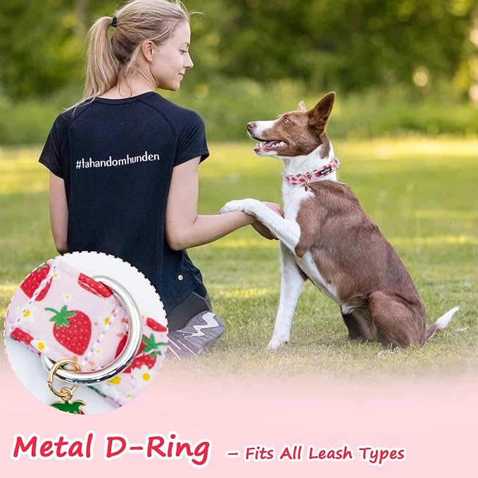 Pink Dog Collar for Small Dogs, Cute Dog Collars Girl Puppy Collar - Image 6