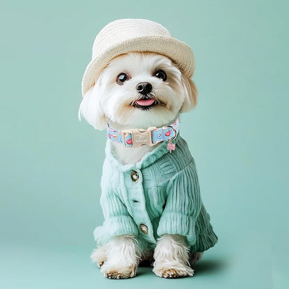 Valentines Dog Collar for Small Dogs - Image 2