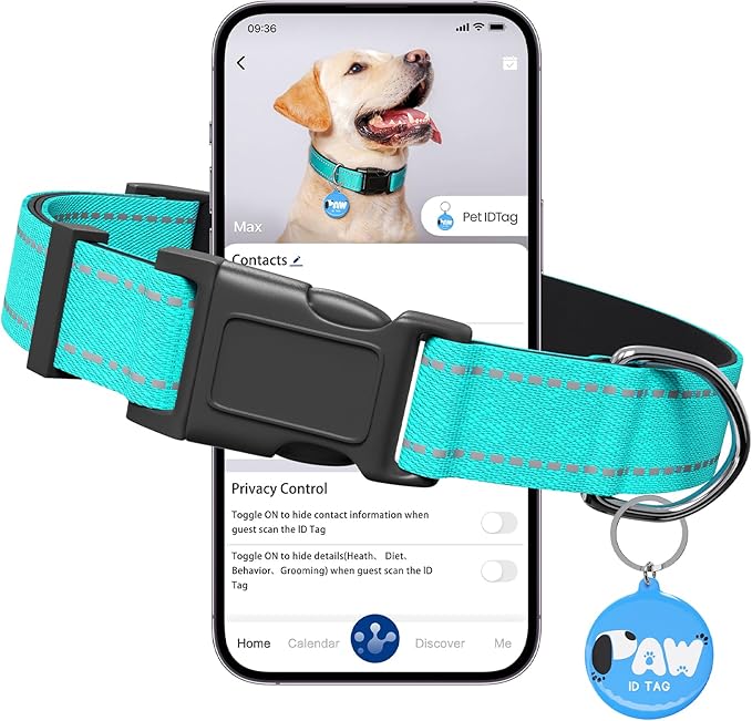 Reflective Dog Collar for Medium Dogs by Pawduct