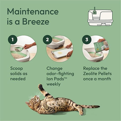 Purina Tidy Cats Breeze Litter System Cat Refill Bundle - Image 5