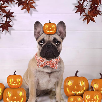 Halloween Dog Collar, Pet Collar Bow Pumpkin Pet Collar Girl Boy Holiday Pet - Image 6