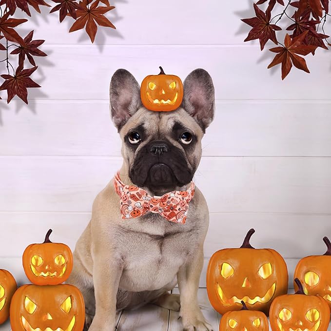 Halloween Dog Collar, Pet Collar Bow Pumpkin Pet Collar Girl Boy Holiday Pet - Image 6