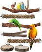 Bissap Bird Perch Stand 7PCS, Natural Grape Wood Pole Standing Parrot Cage by Bissap