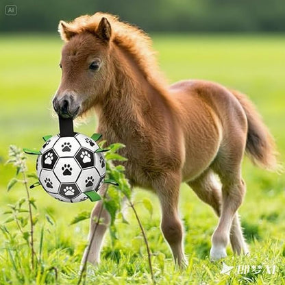 Amasiver Dog Soccer Ball Toys - Image 5