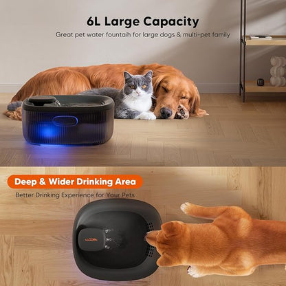 WOPET Dog Water Fountain for Large Dogs, 6L/205oz Automatic Cat Water Fountain - Image 2