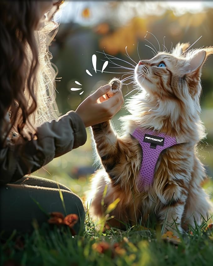 FAYOGOO Cat Harness, Cat Leash and Harness Set - Image 7