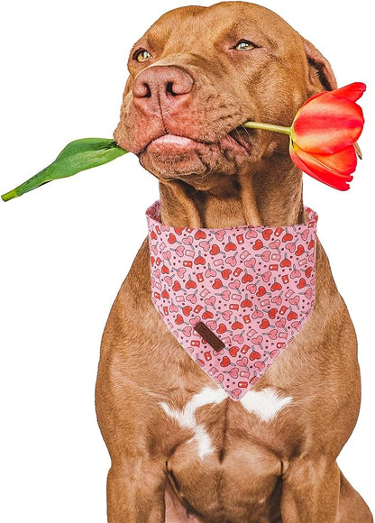 Valentine Dog Bandana - Image 2