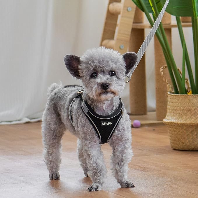 AIITLE Escape Proof Dog Harness - Image 3