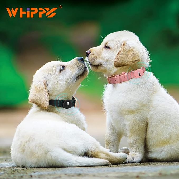 WHIPPY Airtag Leather Dog Collar GPS Tracker Air Tag Puppy Collar Adjustable - Image 2