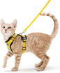rabbitgoo Cat Harness and Leash by rabbitgoo