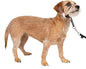 PetSafe Gentle Leader Headcollar No-Pull Dog Collar by PetSafe