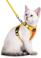 rabbitgoo Cat Harness and Leash Set, Escape Proof Soft Adjustable Vest Harnesses by rabbitgoo