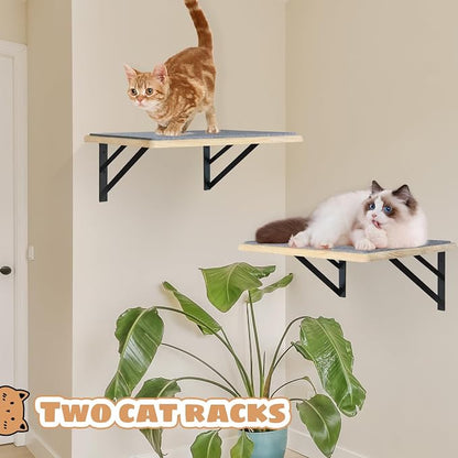 Burlywood Cat Furniture Indoor Set of 2: Wood Shelves - Image 3