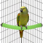 Rypet Parrot Perch Stand Toy Used by RYPET