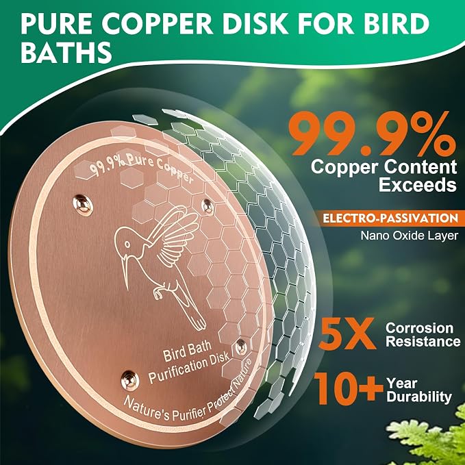 2 Pcs Bird Bath Copper Disk | 99.99% Pure Copper Plate & Birdbath Disk | 0.6mm - Image 3