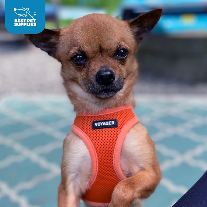 Best Pet Supplies Voyager Step-in Air Harness - Image 11
