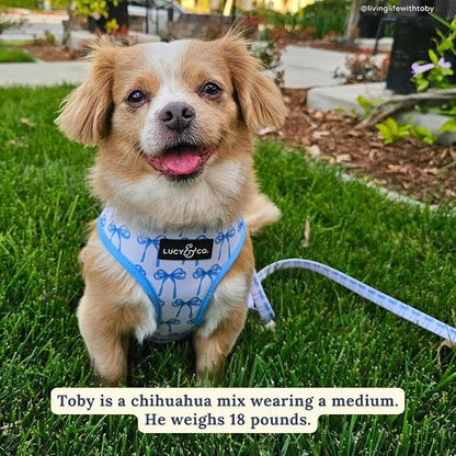 Lucy & Co. Cute Reversible Dog Harness Walking Halter - Image 5