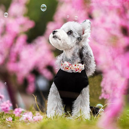 Elegant little tail Dog Collar - Image 6
