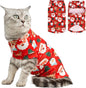 EXPAWLORER Cat Christmas Sweater by EXPAWLORER