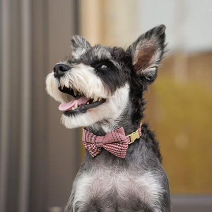 Beirui Cute Small Dog Harness Collar and Leash Set - Image 5