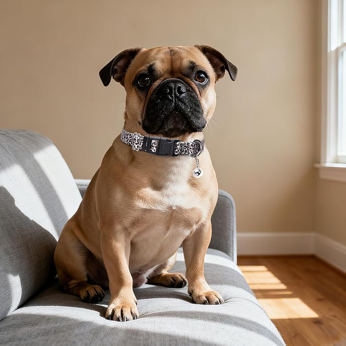 Small Dog Collar with Bell，Nylon - Image 5