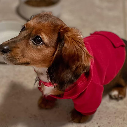 Jecikelon Winter Dog Hoodie Sweatshirts - Image 2