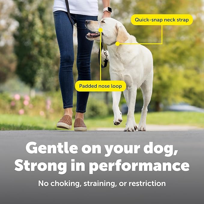 PetSafe Gentle Leader Headcollar No-Pull Dog Collar - Image 4