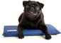 CoolerDog Hydro Cooling Mini Mat by CoolerDog