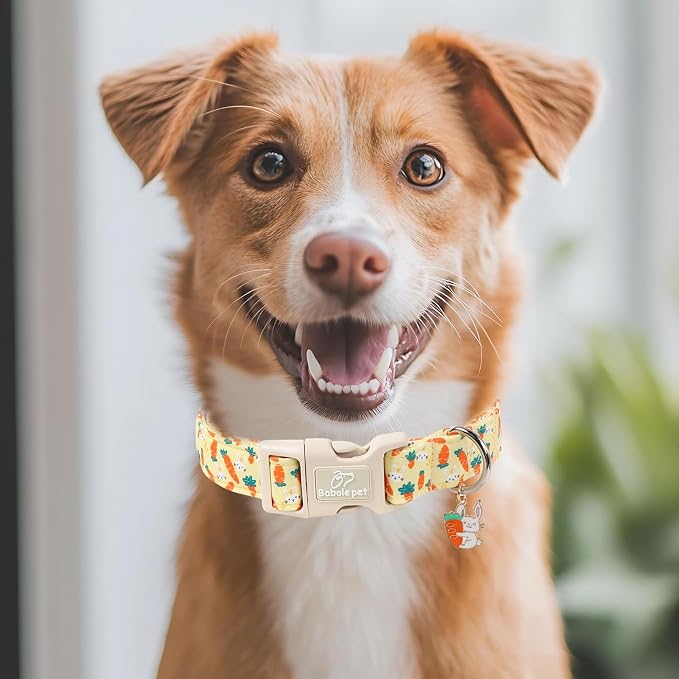 Easter Dog Collar for Small Dogs - Image 7
