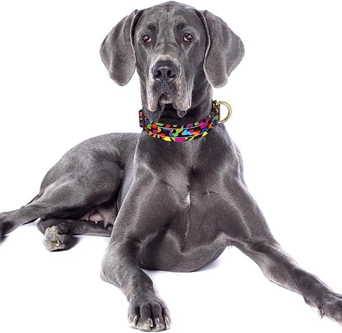 Reflective Dog Collar for Large Dogs, Cute Boho Adjustable Heavy-Duty Nylon - Image 2