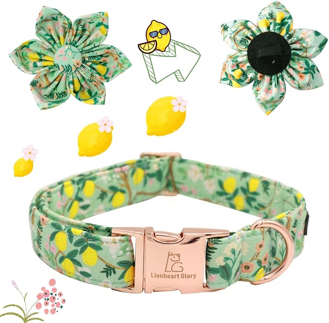 Lionheart Glory Cute Lemon Floral Pattern Adjustable Dog Collar - Image 2