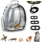 Bearded Dragon Carrier with Harness and Leash Set Large Small Animal Carrier by CUTENNIOU