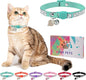 Rhinestone Cat Collar Breakaway by DILLYBUD
