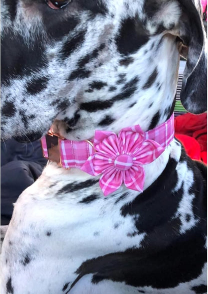 Lionheart Glory Dog Collar, Cute Floral Pattern Pet Collars Adjustable Dog - Image 5