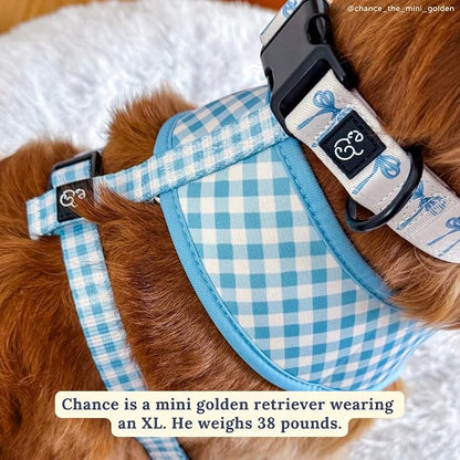 Lucy & Co. Cute Reversible Dog Harness Walking Halter - Image 3
