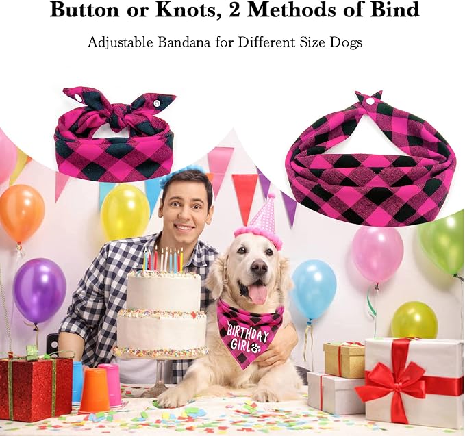 Birthday Plaid Dog Bandana - Image 2