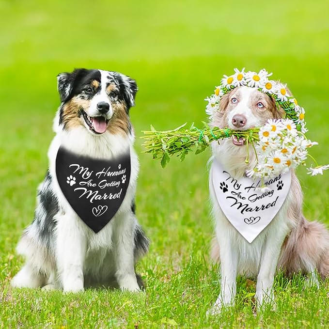 SZEE 2 Pack My Humans are Getting Married Dog Bandanas, Wedding or Engagement - Image 7