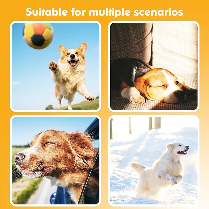 BONSO 2-in-1 GPS Tracker for Dogs: Smart Collar - Image 8