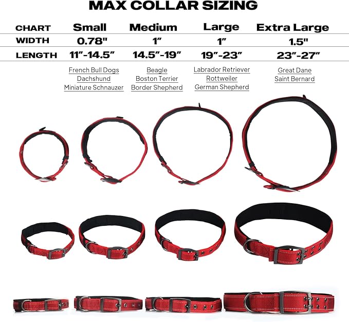 PetiFine Dog Collar for Large Dogs, Neoprene Padded and Adjustable, Reflective - Image 5