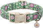 St. Patrick's Day Dog Collar, UP URARA PUP Shamrock Adjustable Pet Collar by UPURARAPUP