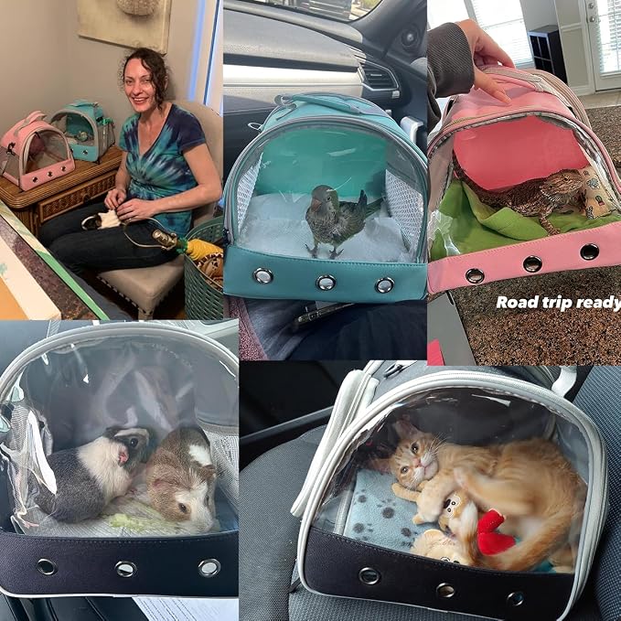 Guinea Pig Carrier Backpack, Bunny Rat Bird - Image 7
