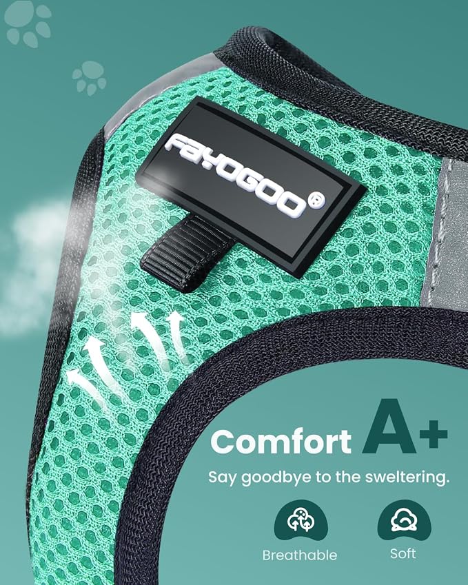 FAYOGOO Escape Proof Cat Harness and Leash Set - Image 2