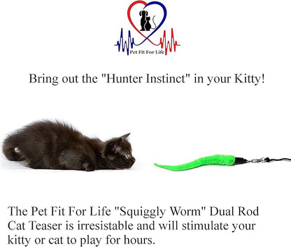 Pet Fit For Life Cat Wand Toy: 5-Piece Worm Teaser & Exerciser - Image 2