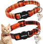 ARING PET 2 Pack Fall Cat Collars-Cute Breakaway Cat Collar by ARINGPET
