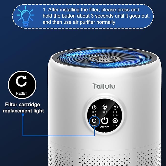Tailulu 2 Pack D10 Replacement Filter, Air Purifier Filter - Image 3