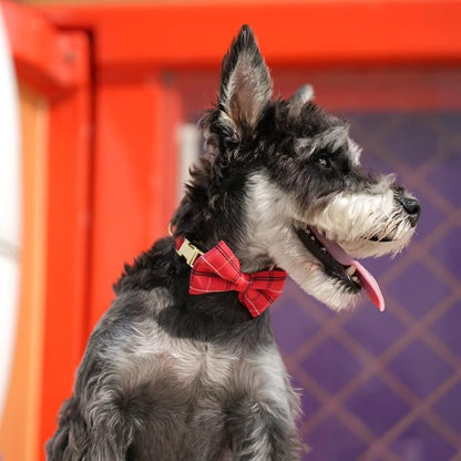 Beirui Cute Extra Small Dog Harness Collar and Leash Set - Image 5