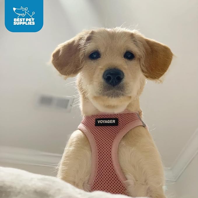 Best Pet Supplies Voyager Step-in Air Harness - Image 9