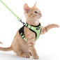 rabbitgoo Cat Harness and Leash by rabbitgoo