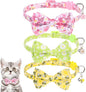 KOOLTAIL Spring Cat Collar by KOOLTAIL