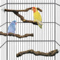 kathson 3pcs Natural Parrot Perch by kathson